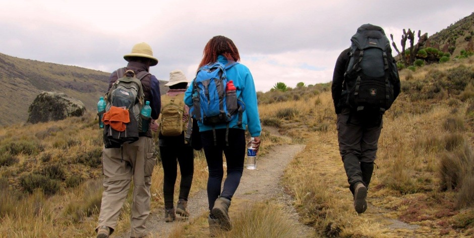 lewka hiking mt kenya experience