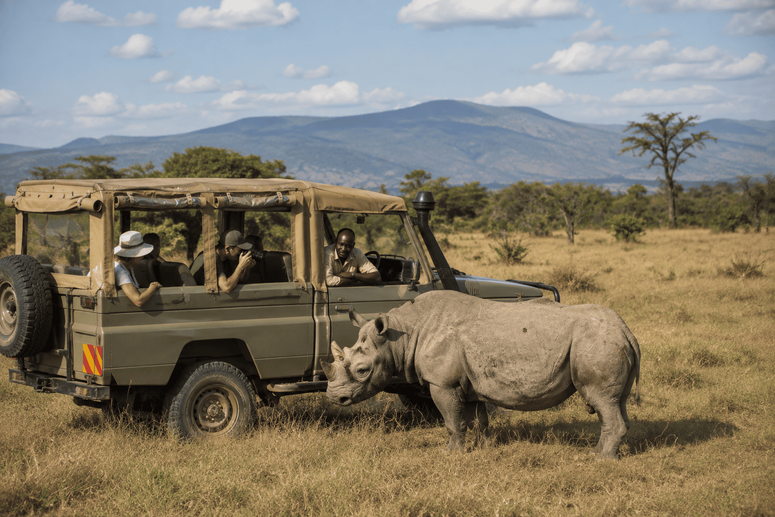 safari drive kenya lewkaexperience.com