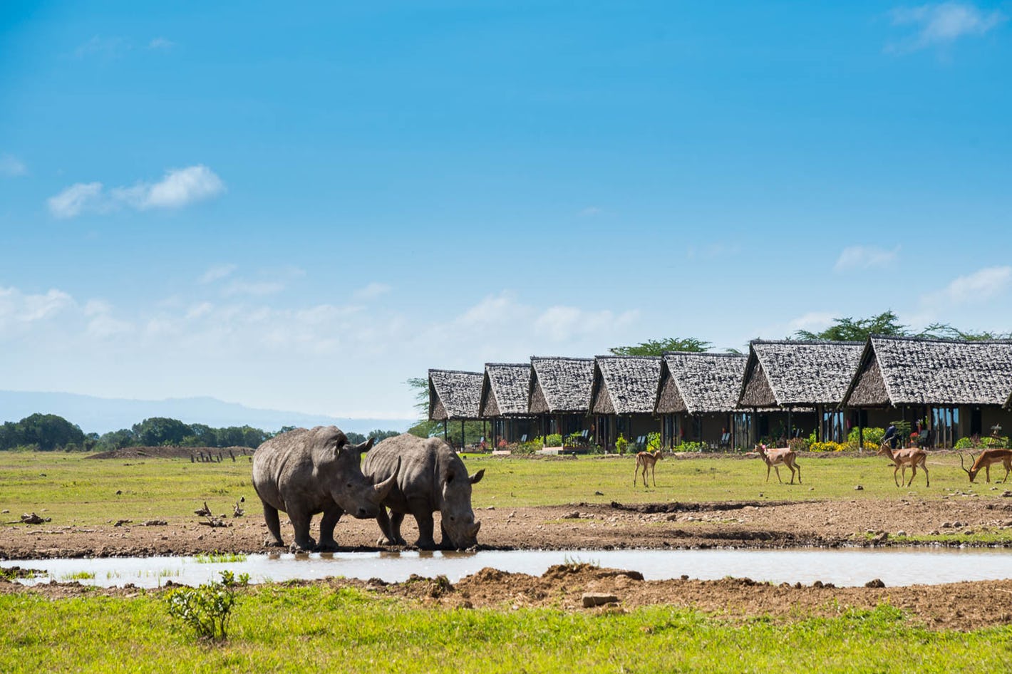 sweetwater-serena-camp-mount-kenya-timbuktu-travel