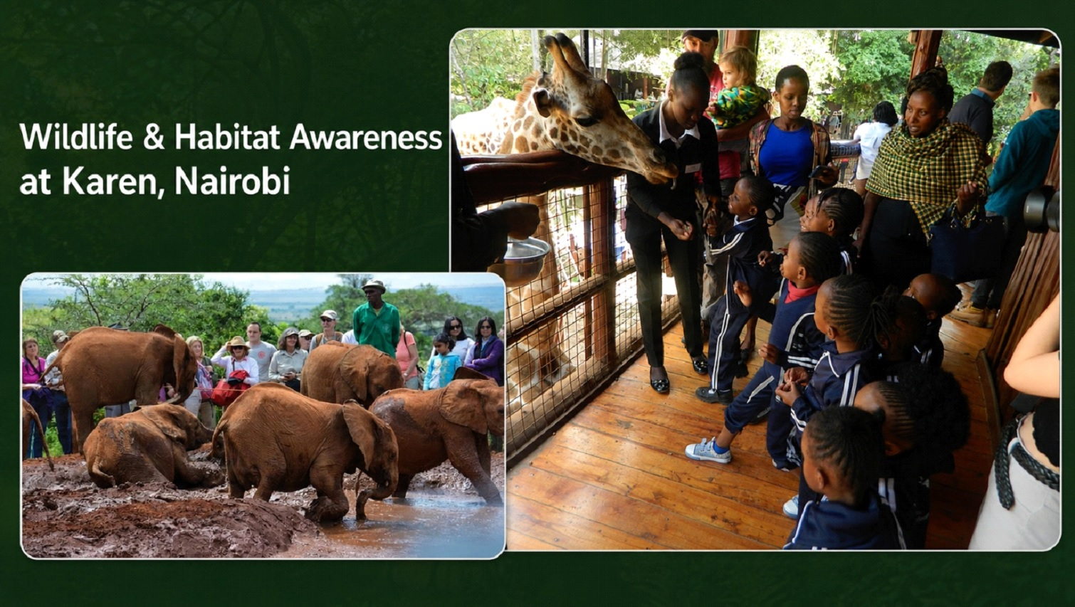 wildlife habitat kenya lewkaexperience